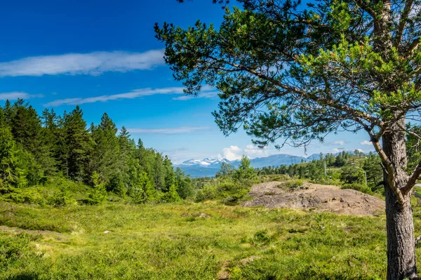 Landschaft Sommer Norueguês — Fotografia de Stock