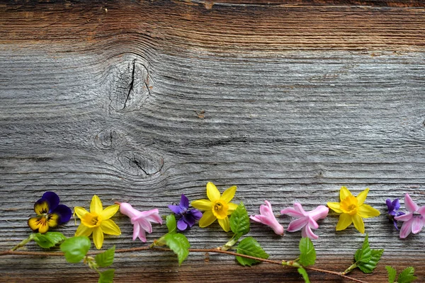 Ανοιξιάτικα Λουλούδια Ξύλινο Φόντο — Φωτογραφία Αρχείου