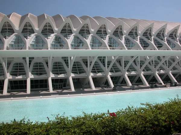 Valencia Cuidad Las Ciencias Spanya — Stok fotoğraf