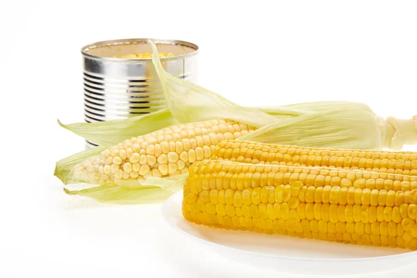 新鲜成熟的玉米穗 盘中有煮熟的玉米 罐中有罐装玉米 背景为白色 — 图库照片