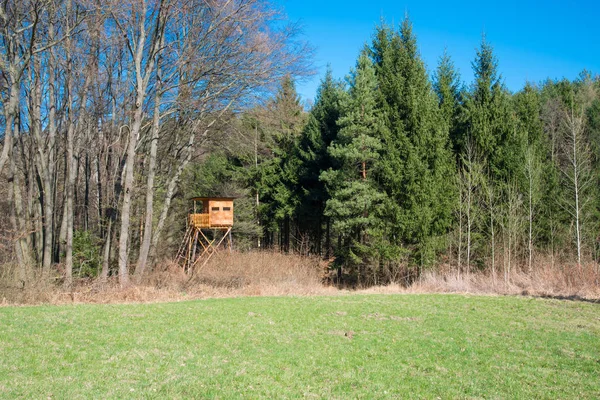 Ciervo Cerca Bad Sauerbrunn Las Montañas Rosalian Burgenland Austria —  Fotos de Stock