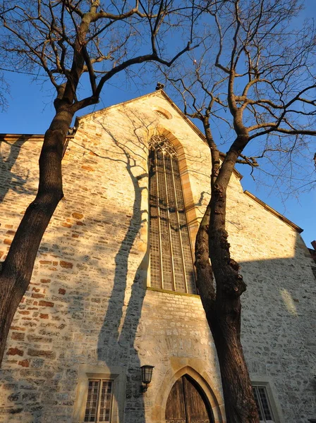 Frontone Del Monastero Agostiniano Fronte Cielo Azzurro Rami Vuoti Foglie — Foto Stock