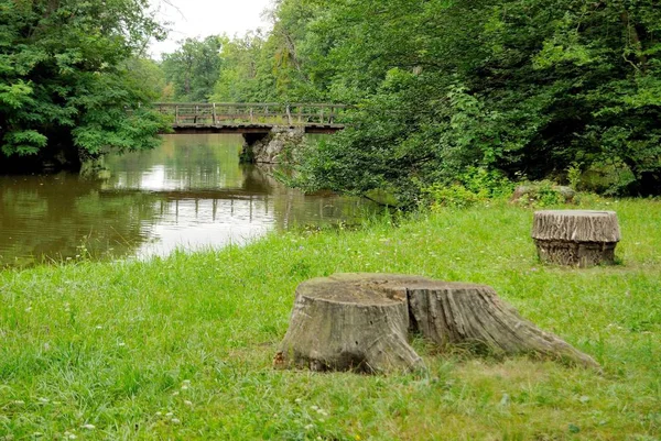 Ruhige Lage Einem Park Mit Fluss Und Brücke Hintergrund — Stockfoto