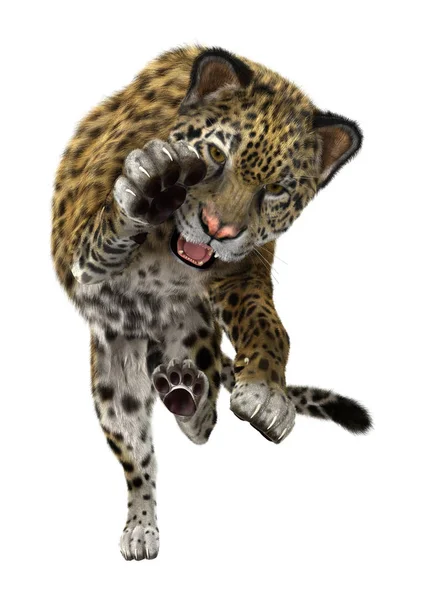Gengivelse Stor Kat Jaguar Isoleret Hvid Baggrund - Stock-foto