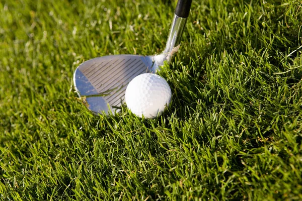 Close Van Een Golfclub Bal Gras — Stockfoto