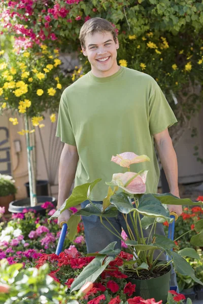 가든에서 손수레를 정원을 가꾸고 남자의 — 스톡 사진