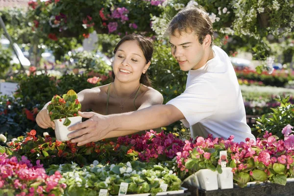 Belle Jeune Femme Avec Homme Sélectionnant Plante Jardin Botanique — Photo