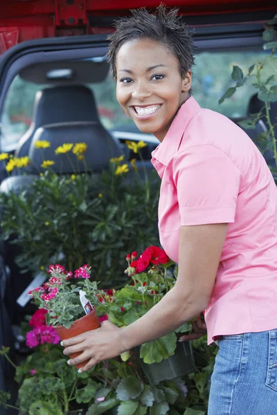 여성의 자동차 부츠에 식물을 — 스톡 사진
