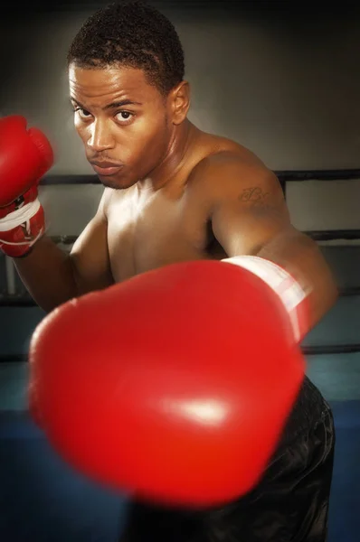 Retrato Joven Agresivo Boxeador Afroamericano Golpeando —  Fotos de Stock