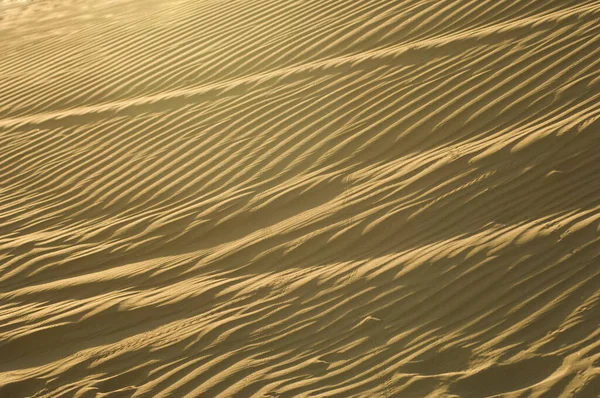 Дует Ветер Песчаных Дюнах — стоковое фото