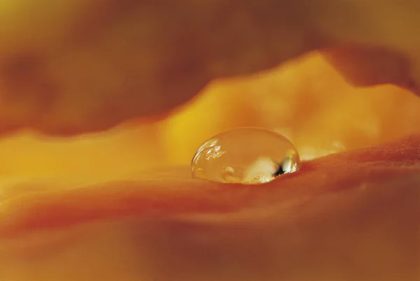 Detalle Gotita Agua Sobre Textura Naranja —  Fotos de Stock