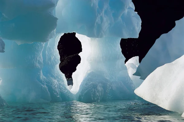 Grand Iceberg Bleu Fondant — Photo