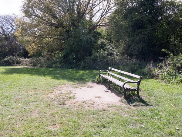 周りに誰もいない昼と午後の日差しの中の公園の木のベンチ地上には人も空も草もたくさんあり 背後には木々が春には英国で影を落としています — ストック写真