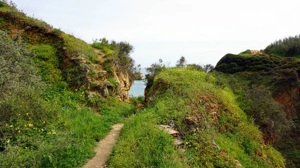 Dona Ana Bukit Pasir Dengan Dataran Hijau Tumbuh Liar — Stok Foto