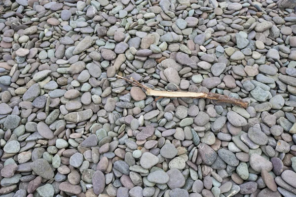 Treibholz Liegt Auf Kiesstrand — Stockfoto