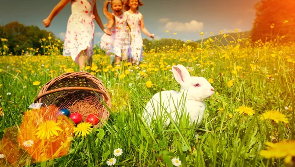 Paskalya Için Yumurta Avına Çıkmış Çocuklar Çayır Üzerinde Tavşan Filtrelenmiş — Stok fotoğraf