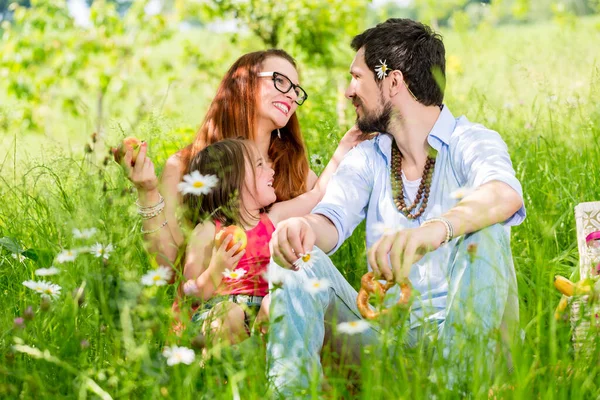 Comer Familia Prado Verano Sentado Hierba Haciendo Picnic —  Fotos de Stock