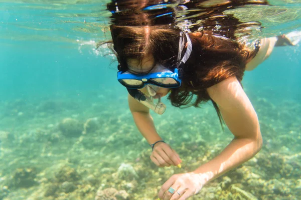 Meisje Bikini Snorkelt Tropische Zee — Stockfoto