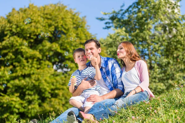 Family Sitting Meadow Playing Soap Bubbles — Stock Photo, Image