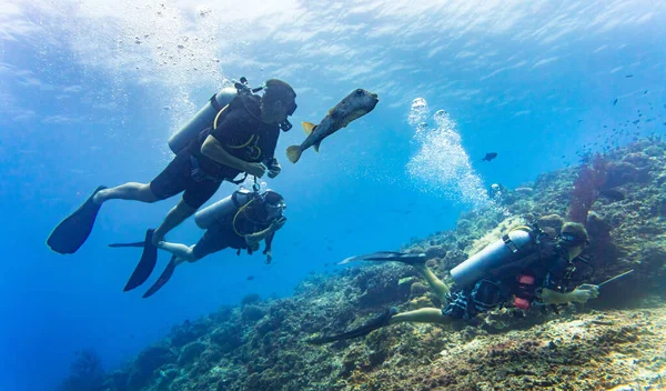ふぐはサンゴ礁でスキューバダイビングをする観光客のグループに同行します — ストック写真