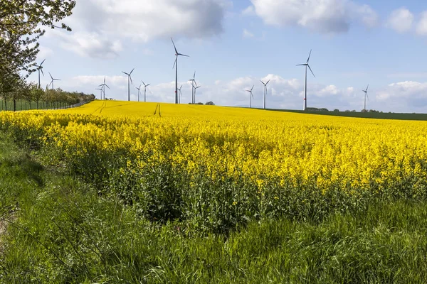 Energía Renovable Como Eólica Ganada Por Las Turbinas Eólicas Cultivo —  Fotos de Stock