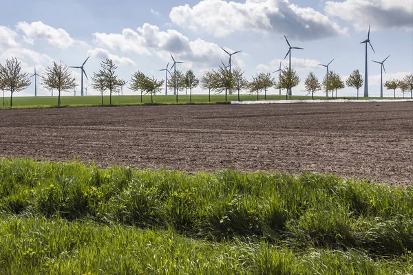 風力発電などの再生可能エネルギーは — ストック写真