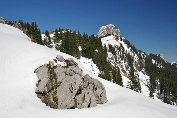 Kampenwand Chiemgau Yukarı Bavyera Güney Almanya Nın Batı Zirvesindeki Sonnen — Stok fotoğraf