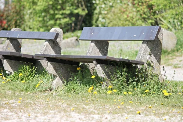 Rest Benches Invite You Rest — Stock Photo, Image