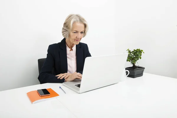 Empresária Sênior Usando Laptop Mesa Escritório — Fotografia de Stock