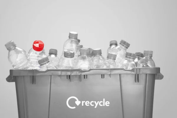 Bottle with red cap among several plastic bottles in a recycling container against gray background