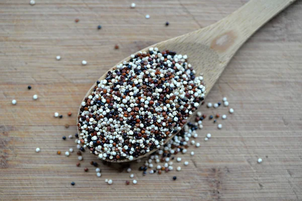 Colorful Quinoa Seeds Spoon — Stock Photo, Image