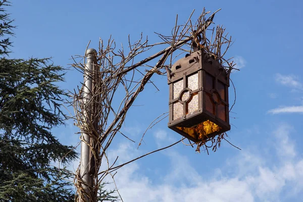 Starožitná Mrazivá Lampa Krásné Zasněžené Větve Proti Azurové Obloze — Stock fotografie