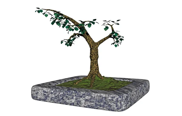Δέντρο Χλωρίδα Και Κλαδιά Bonsai — Φωτογραφία Αρχείου