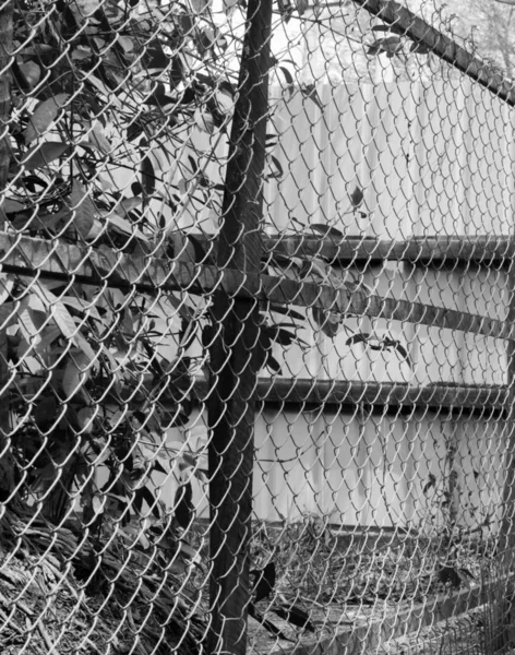 Fekete Fehér Fénykép Chain Link Fence Ről Más Néven Dróthálóként — Stock Fotó