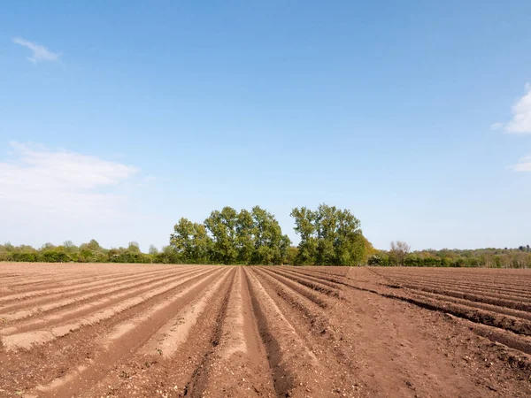 Terras Agrícolas Com Faixas Trator Campo Lama Solo Molhado Esperando — Fotografia de Stock