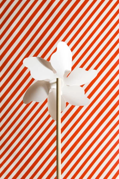 Een Wit Pinwheel Een Gestreepte Rode Witte Achtergrond — Stockfoto