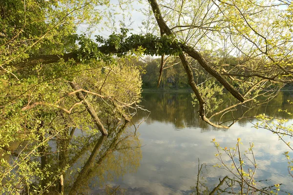 Вид Найнеймовірніший Пейзаж — стокове фото