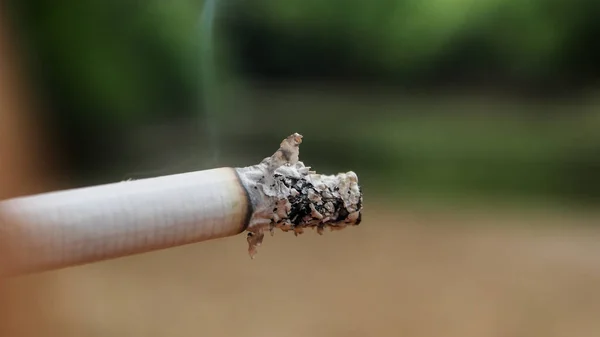 Cigareta Zahradě — Stock fotografie