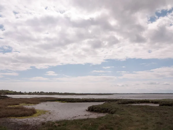 Landschaftsaufnahme Der Küstenumgebung Vögel Ruhen Und Nisten Mit Schlammbecken Und — Stockfoto