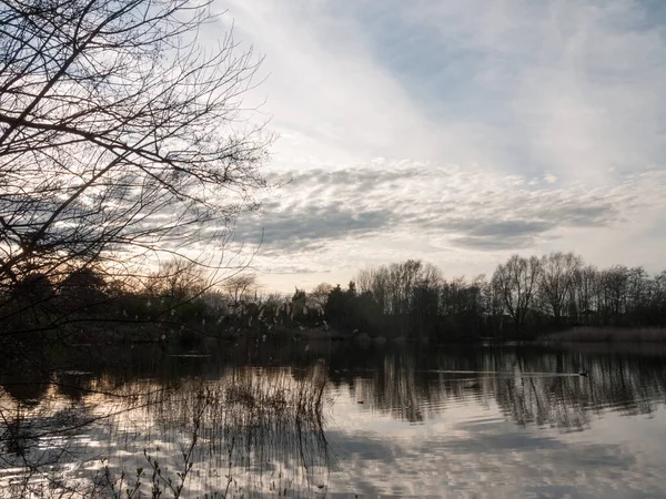 Prachtig Meerwater Tijdens Zonsondergang — Stockfoto