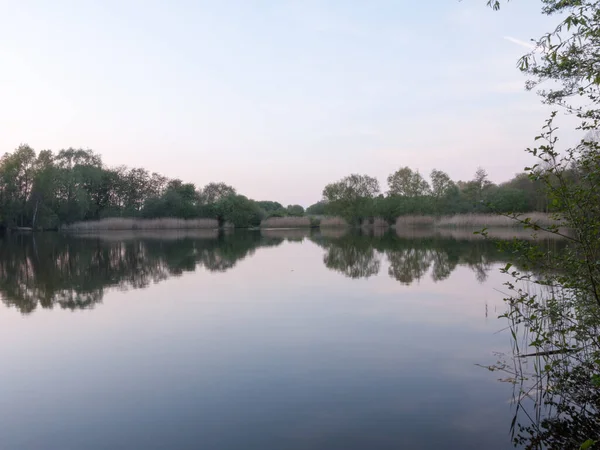 Riet Verte Van Deze Rivier Als Zonsondergangen Aan Linkerkant Het — Stockfoto