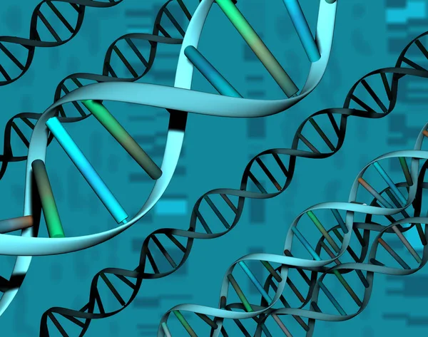 genetics Gene, chromosome and DNA cells