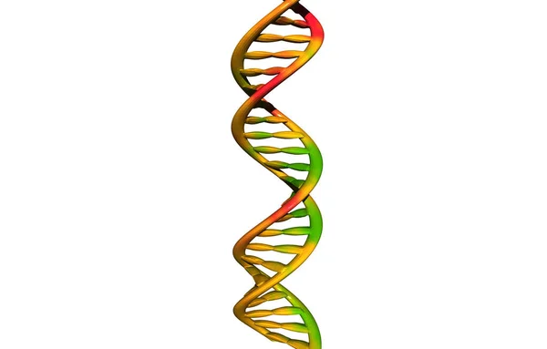 Genetyka Gene Chromosom Komórki Dna — Zdjęcie stockowe