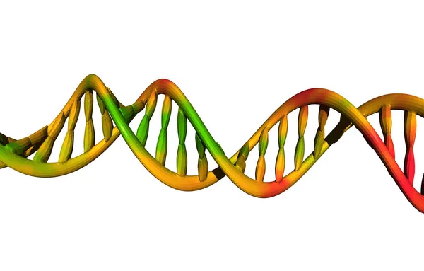 Genetyka Gene Chromosom Komórki Dna — Zdjęcie stockowe