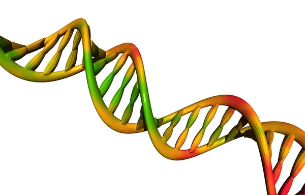 Genetica Gene Cromosoma Cellule Del Dna — Foto Stock
