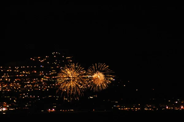 Feriado Explosão Fogos Artifício Céu Noturno Celebração — Fotografia de Stock