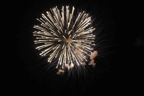 Fogos Artifício Festival Céu Explosão Pirotécnica — Fotografia de Stock