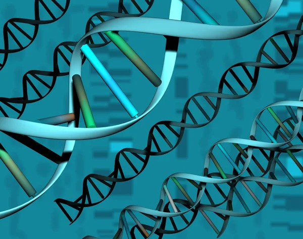 Genetik Gene Chromosomen Und Dna Zellen — Stockfoto