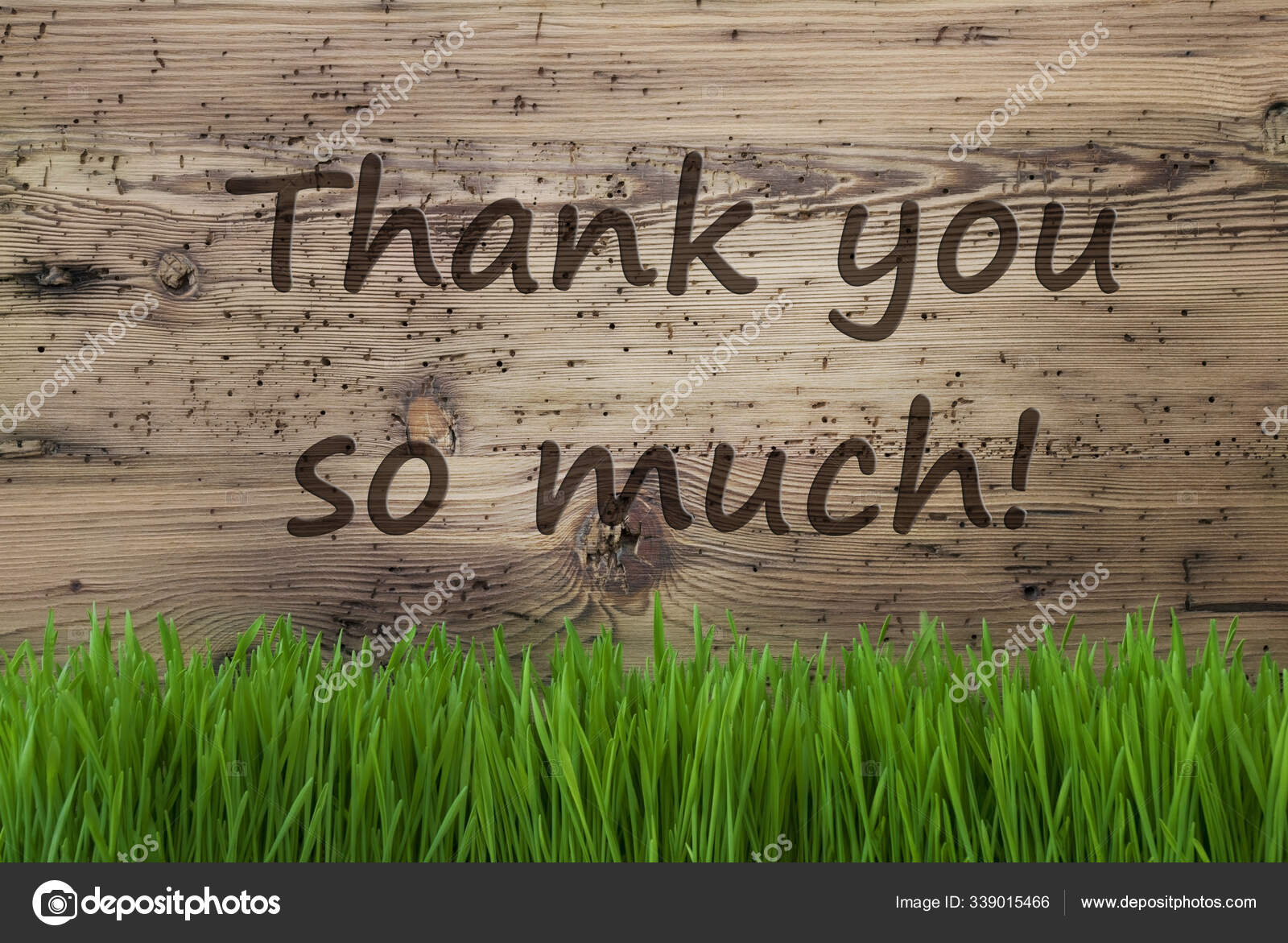 Thank you so much Stock Photos, Royalty Free Thank you so much ...