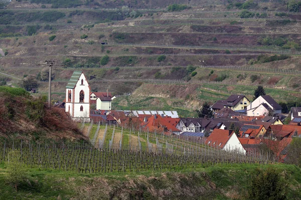 Oberbergen Kaiserstuhl Kilise Azizi Mauritius Ile Birlikte — Stok fotoğraf